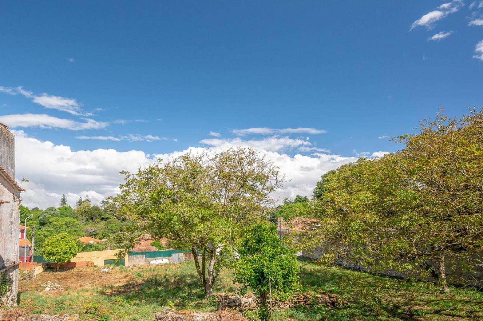 דירות Guestready - Sintra Cosy House מראה חיצוני תמונה